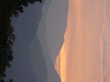   By Stephanie K. Nead