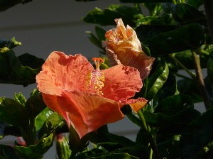 Photo by Stephanie K. Nead