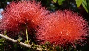 Photo by Stephanie K. Nead