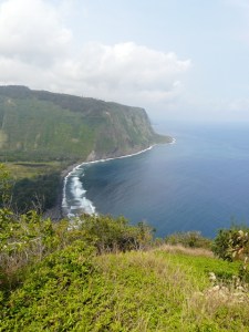 photo by Stephanie K. Nead