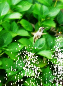 By Stephanie K. Nead